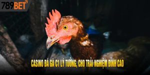 Casino Đá Gà C1 Lý Tưởng, Cho Trải Nghiệm Đỉnh Cao